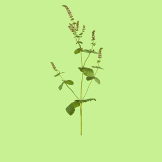 2-11