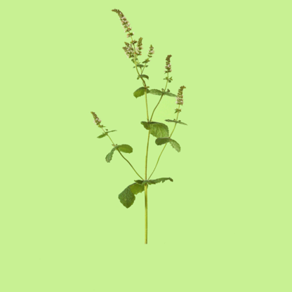 2-11